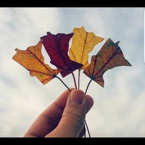 Meet your Posher, Aamanda